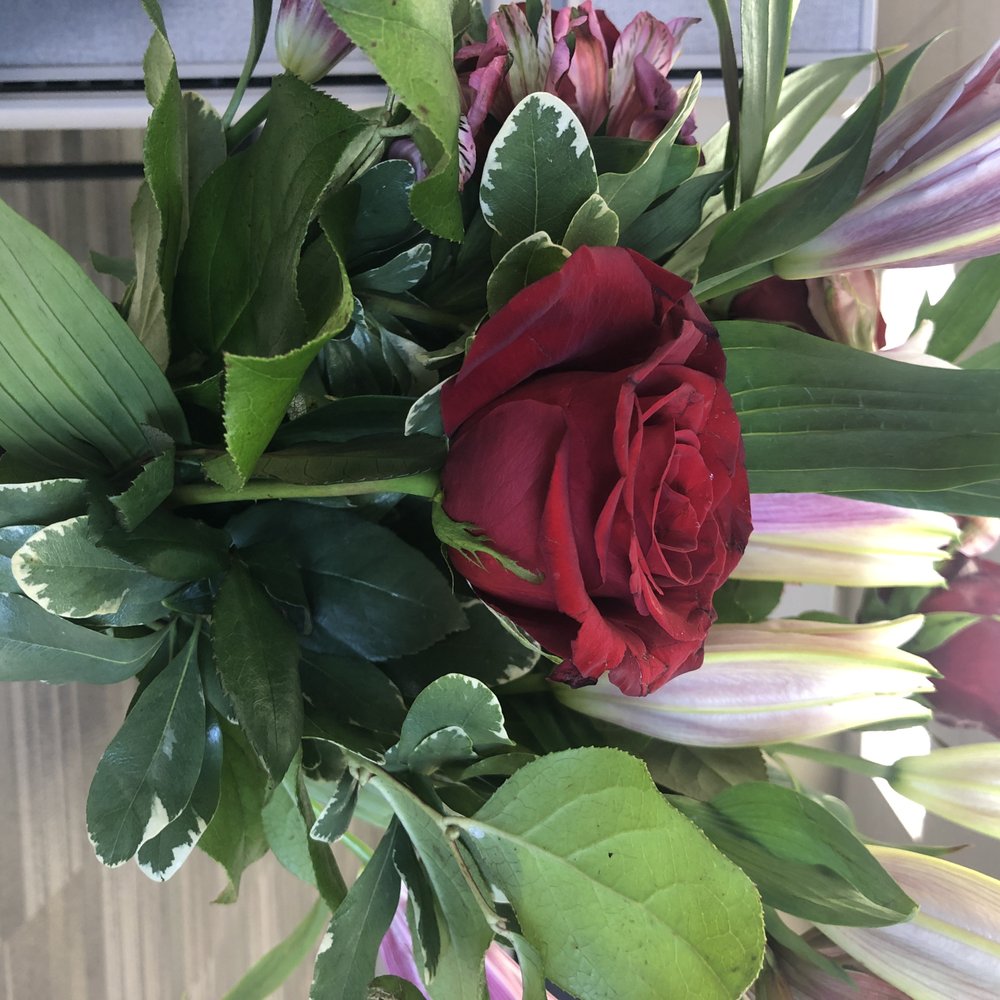 Everything's Blooming - Florists Near Me Everything's Blooming - Florists Near Me