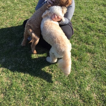 Hefflinger Dog Park - Dog Parks Near Me - Omaha, Nebraska Hefflinger Dog Park - Dog Parks Near Me - Omaha, Nebraska