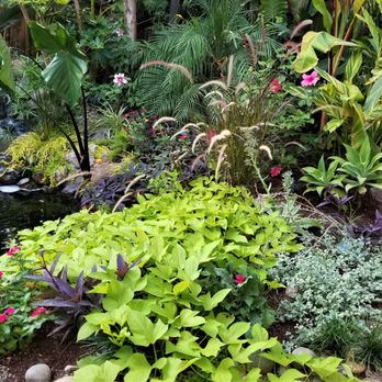 Inspirational Water Features - a pond surrounded by plants - Landscape Architects or Designers Near Me Inspirational Water Features - a pond surrounded by plants - Landscape Architects or Designers Near Me
