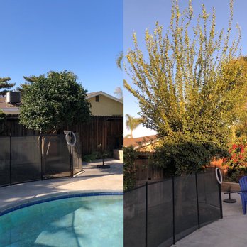 Carlos Tree Service - Tree Services Near Me