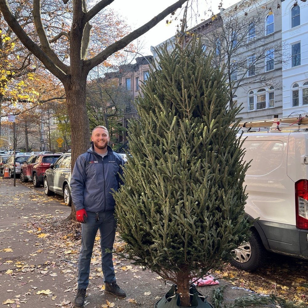 Our 11 foot tree getting delivered! Our 11 foot tree getting delivered!
