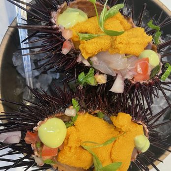 Holbox - Scallop & uni - Latin American Near Me - Los Angeles, California Holbox - Scallop & uni - Latin American Near Me - Los Angeles, California