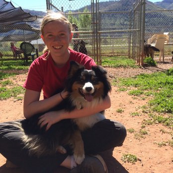 Willow Tree Kennels - Pet Training Near Me - Durango, Colorado