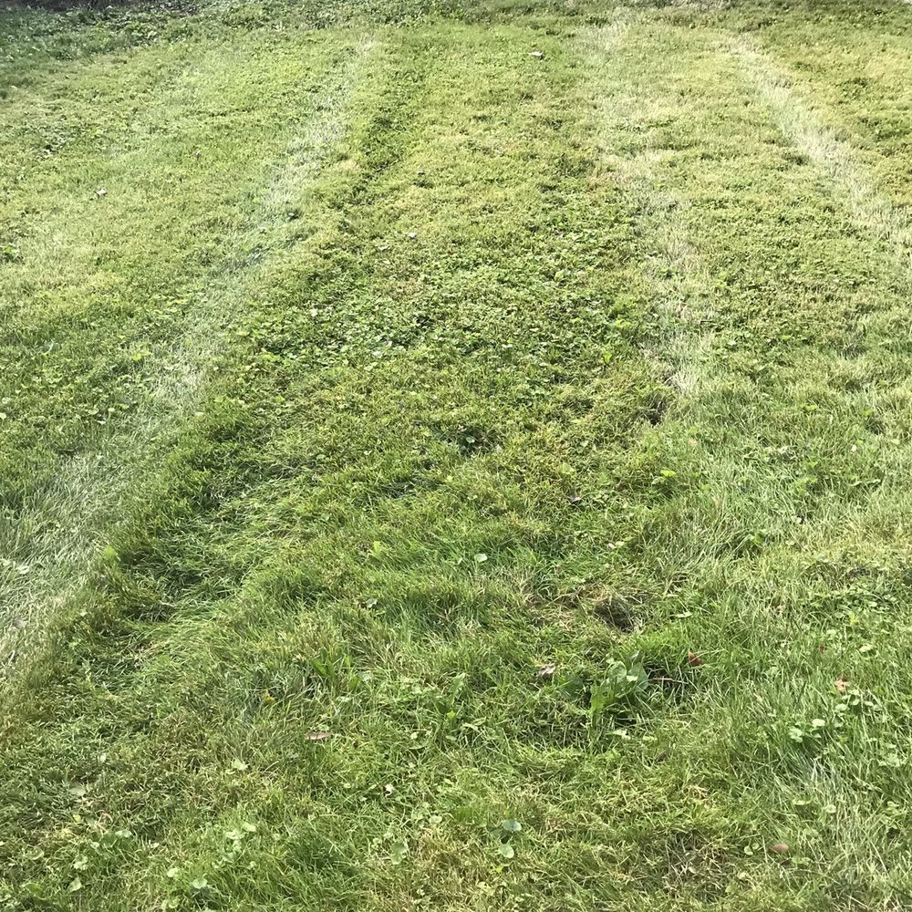 Happy Green Services - Back yard, all smashed. - Landscaping Near Me - Champaign, Illinois Happy Green Services - Back yard, all smashed. - Landscaping Near Me - Champaign, Illinois