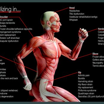 Total Body Physical Therapy - Physical Therapy Near Me - Gilbert, Arizona Total Body Physical Therapy - Physical Therapy Near Me - Gilbert, Arizona