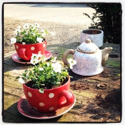 Cafe Kornblume