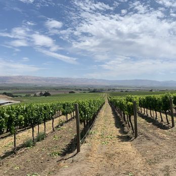 Yanks RV Resort - RV Parks Near Me - Greenfield, California Yanks RV Resort - RV Parks Near Me - Greenfield, California