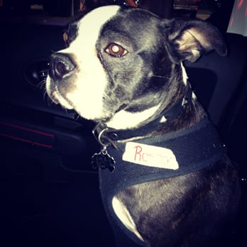 Wagon Tail Ranch - Just got picked up from Wagon Tail... He's so tired! Love his name tag! :) - Pet Boarding Near Me - Woodland Hills, California Wagon Tail Ranch - Just got picked up from Wagon Tail... He's so tired! Love his name tag! :) - Pet Boarding Near Me - Woodland Hills, California