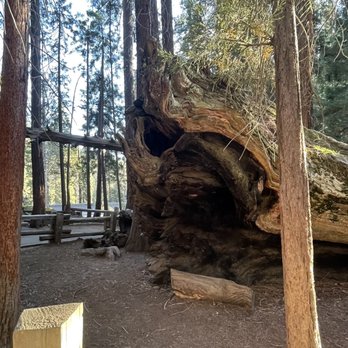 General Sherman Tree - Hiking Near Me - Sequoia National Park, California General Sherman Tree - Hiking Near Me - Sequoia National Park, California