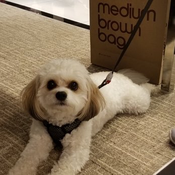 Bloomingdale's - Everywhere I turned, another furball. - Department Stores Near Me - New York, New York Bloomingdale's - Everywhere I turned, another furball. - Department Stores Near Me - New York, New York