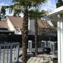 Photo of Ceballos Tree Services