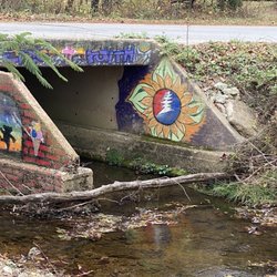 Backwoods Convenience Bar & Grill - Sits along the creek in Hopewell near the bridge with fun Grateful Dead Inspired Artwork