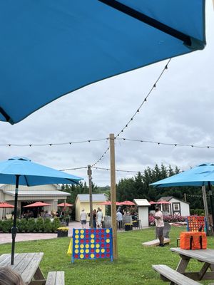 Fox Hollow Vineyards by null