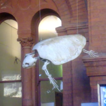 South Australian Museum - Museums Near Me - Adelaide, SA