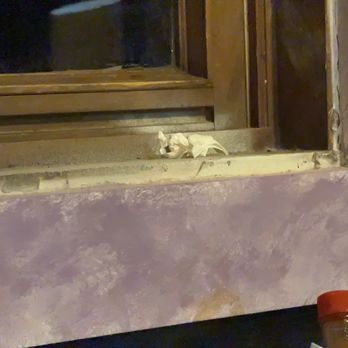 Hacienda El Patron - Window ledge grime in booth - Mexican Near Me - Fredericksburg, Virginia Hacienda El Patron - Window ledge grime in booth - Mexican Near Me - Fredericksburg, Virginia
