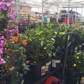 Lowe's Home Improvement - Hardware Stores Near Me - Salinas, California