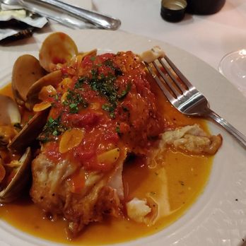 Amelia's - Grouper - Italian Near Me - Gainesville, Florida Amelia's - Grouper - Italian Near Me - Gainesville, Florida