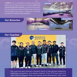 Micro Motion Table Tennis Academy