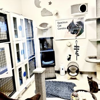 Preppy Pet - Pet Boarding Near Me - Naples, Florida Preppy Pet - Pet Boarding Near Me - Naples, Florida