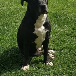 My Sweet Rhino Girl!