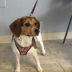 Fair Care Animal Hospital