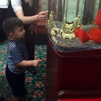 China Point - Judy was very sweet and interacted with my baby! She was counting fish with him! - Chinese Near Me - Rancho Cucamonga, California
