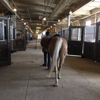 The Riding Academy - Horseback Riding Near Me - Toronto, Ontario The Riding Academy - Horseback Riding Near Me - Toronto, Ontario
