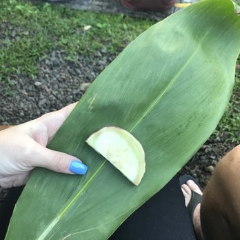 Experience Nutridge - Learning how to cook sweet potatoes - Performing Arts Near Me - Honolulu, Hawaii Experience Nutridge - Learning how to cook sweet potatoes - Performing Arts Near Me - Honolulu, Hawaii