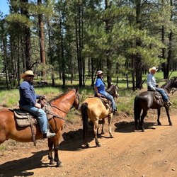 Greer By Horseback - Riders on the trail led by Kevin.