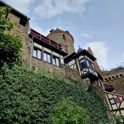 Restaurant Auf Schönburg - Restaurant