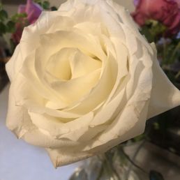 Beautiful!!! Beautiful!!!