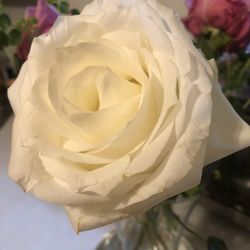 Mrs Morgan's Flower Shop - Beautiful!!!