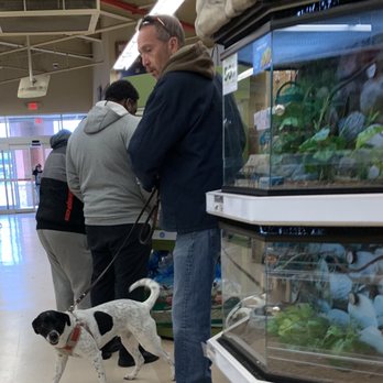 Petco - Peter the racist misogynist - Pet Stores Near Me - Brooklyn, New York