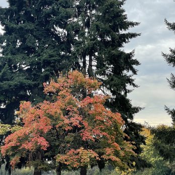 Baldock Rest Area - Rest Stops Near Me - Aurora, Oregon