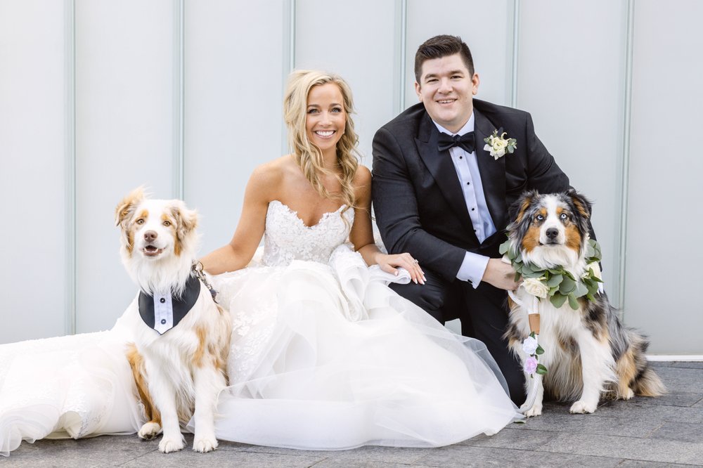 KATIE’S KENNEL Updated September 2024 13 Photos Olathe, Kansas