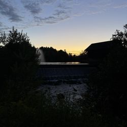 Lisa G's