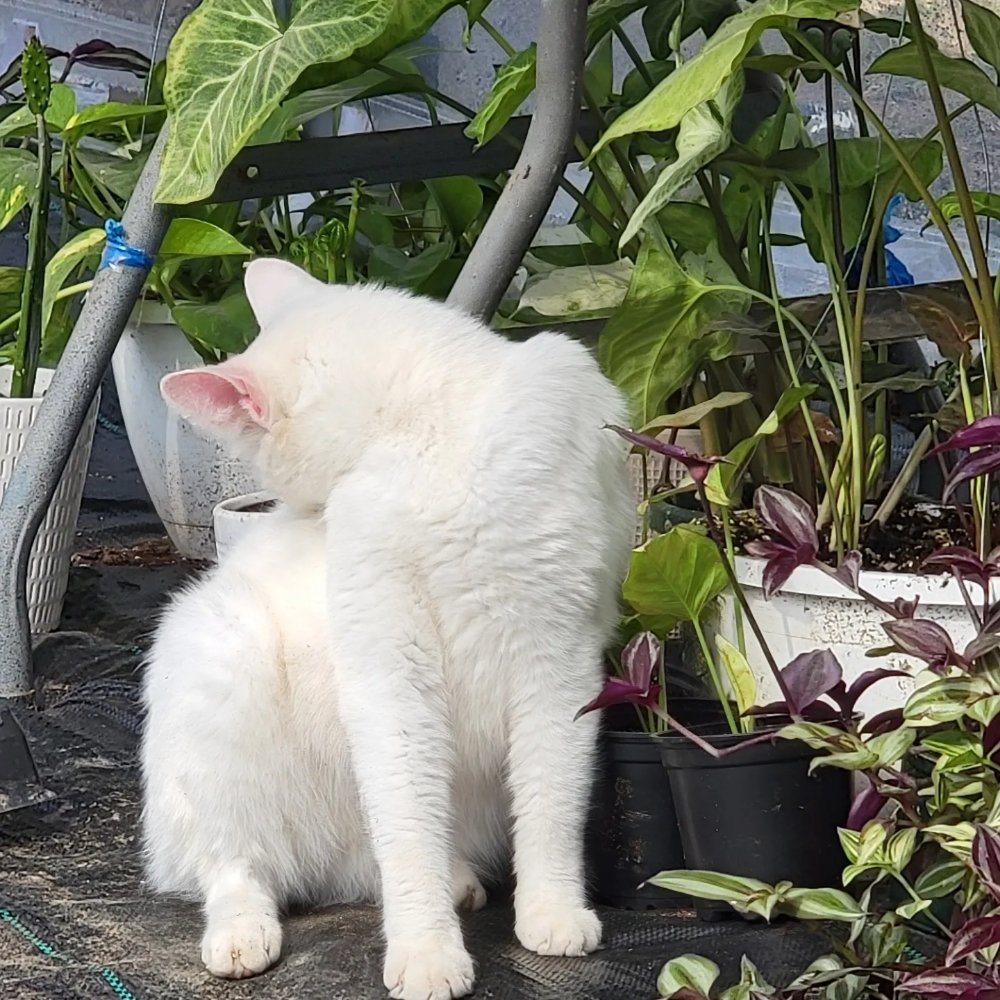 HAMMOND FAMILY FARMS Updated June 2024 59 Photos 159 Lipps Ln