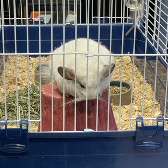 Xtreme Exotics - Reptile Shops Near Me - Jacksonville, Florida