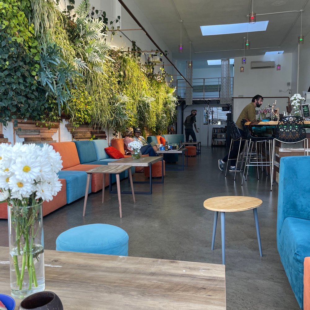 Melo Melo Kava Bar - Living wall art - Lounges Near Me - Oakland, California Melo Melo Kava Bar - Living wall art - Lounges Near Me - Oakland, California