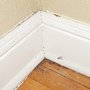 Photo of Proper Care Pest Control