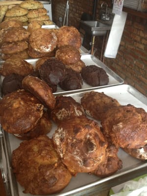 When Pigs Fly by null