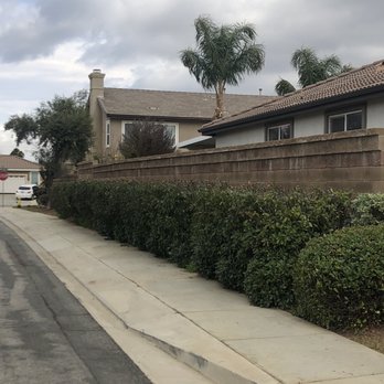 AC Tree Service - Tree Services Near Me - Rialto, California