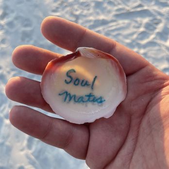 Sand Petal Weddings - Venues & Event Spaces Near Me - Sarasota, Florida Sand Petal Weddings - Venues & Event Spaces Near Me - Sarasota, Florida