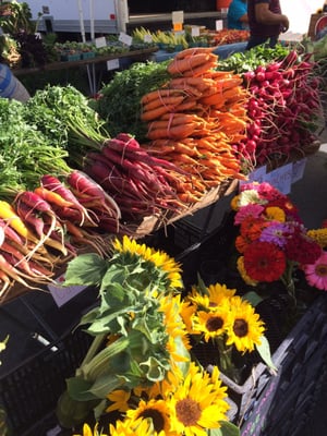 McCutcheon/Mount Vernon Farmers Market by null