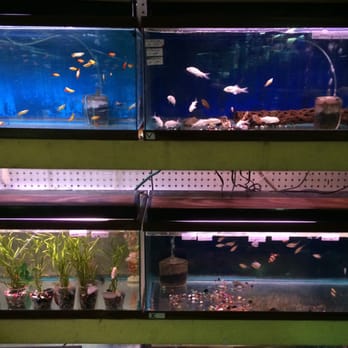 Naturama - Pet Services Near Me - Tijuana, BCN