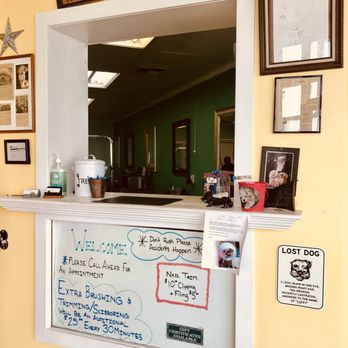A Pet Parlor - Front counter - Pet Groomers Near Me - Lynnwood, Washington A Pet Parlor - Front counter - Pet Groomers Near Me - Lynnwood, Washington