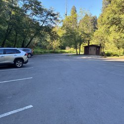 Big Tree - Parking lot
