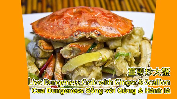 Dim Sum King by null