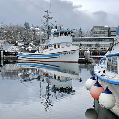 Fishermen's Terminal by null