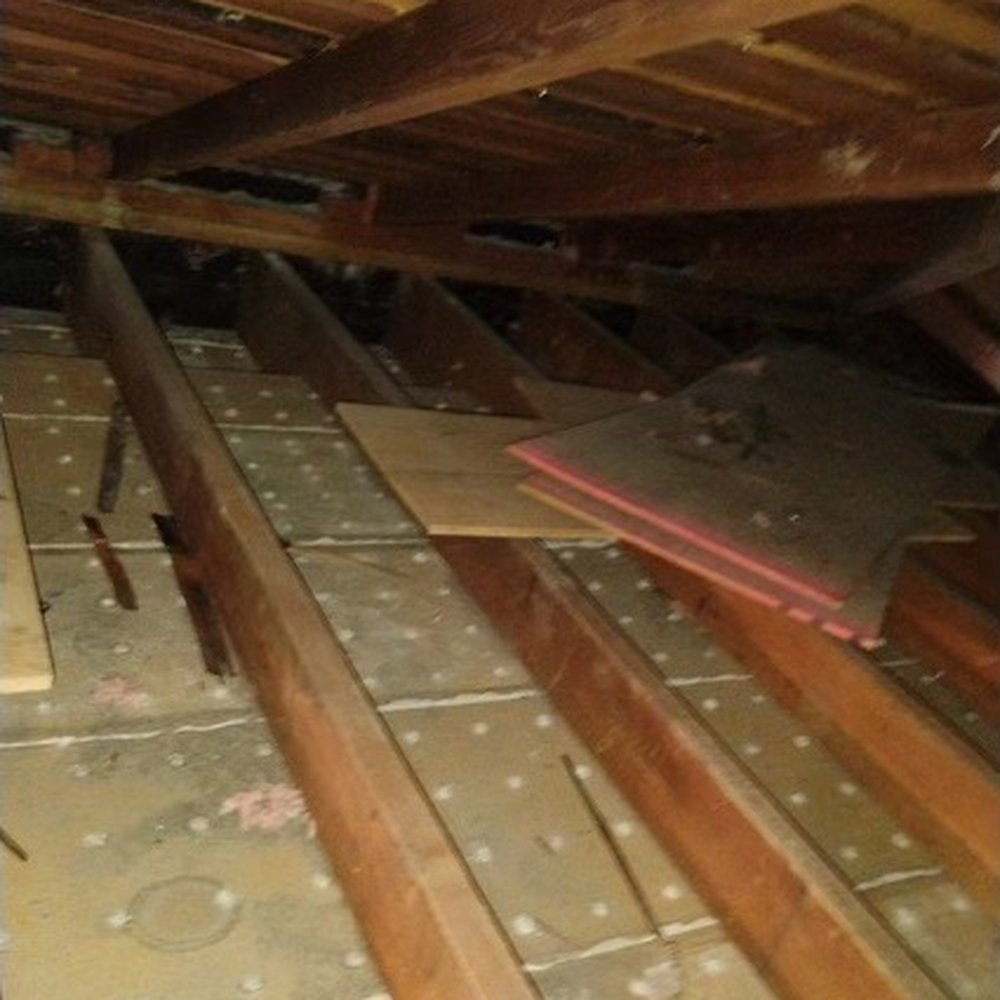 360 Rodent Control - Attic after removing dirty insulation and new sanitation! - Pest Control Near Me 360 Rodent Control - Attic after removing dirty insulation and new sanitation! - Pest Control Near Me